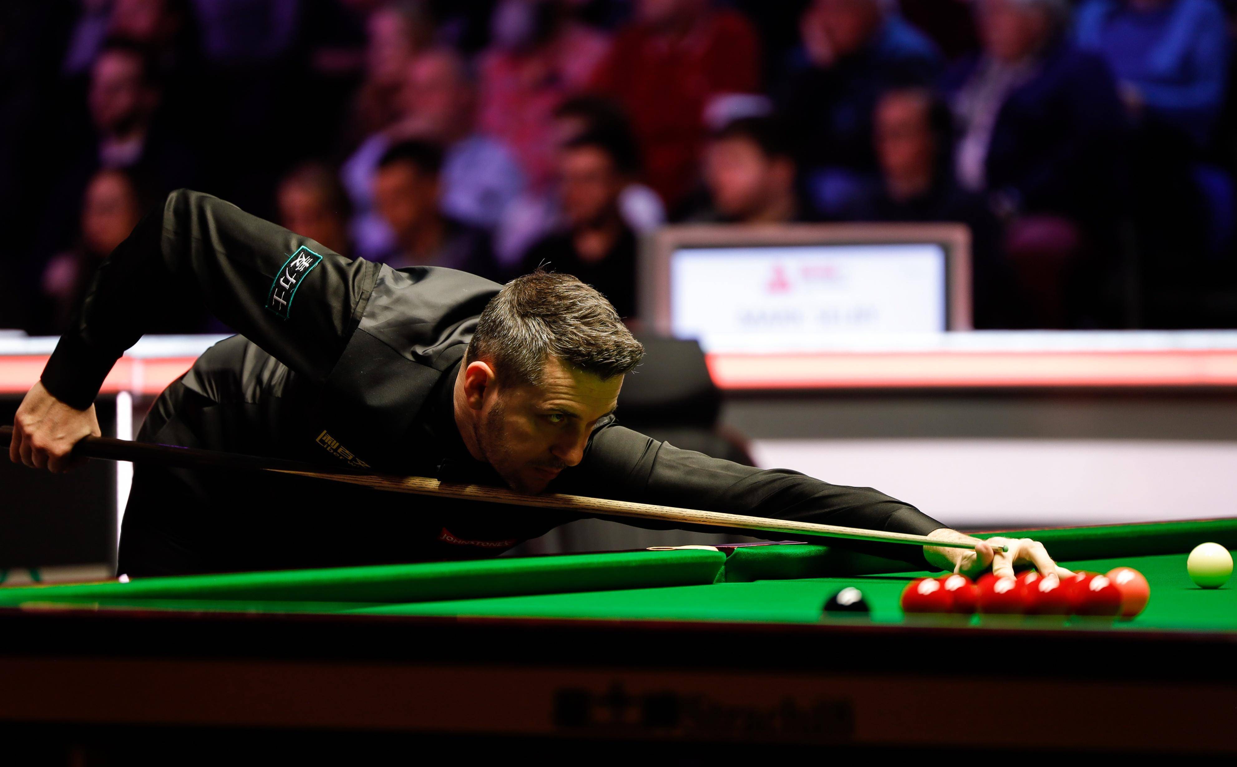 赛近日在东 赛近日在东