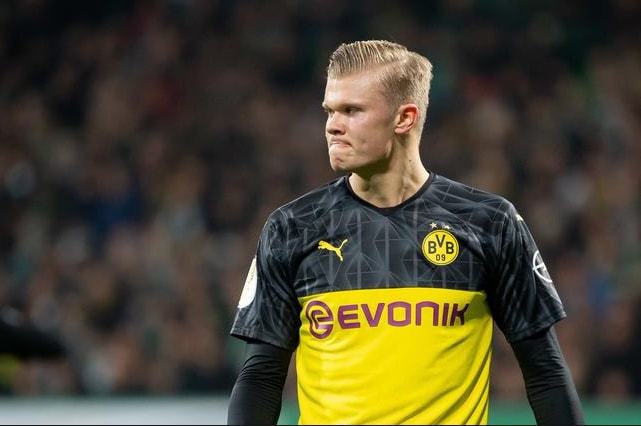 本届奥运会 本届奥运会